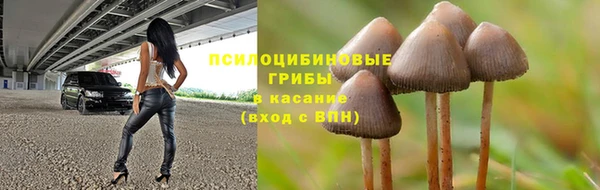 прущие крисы Балабаново