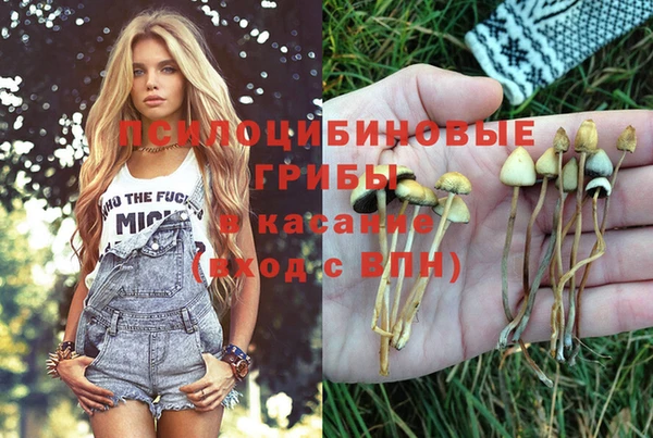 марки nbome Балахна