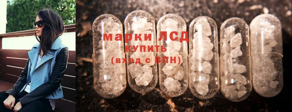 крисы Баксан