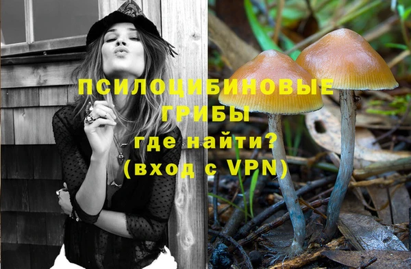 крисы Баксан