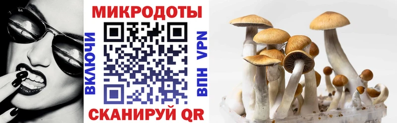 цены   мориарти как зайти  Галлюциногенные грибы Magic Shrooms  Володарск  мега сайт 